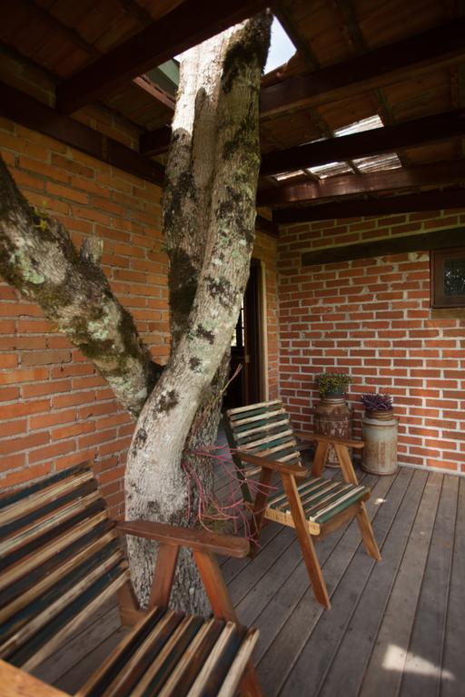 Вілла Loft No Campo Proximo Ao Vale Dos Vinhedos Гарібалді Екстер'єр фото